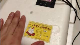 Обзор Инкубатора Несушка с цифровым терморегулятором 36 яиц автопереворот 12В гигрометр вентилятор