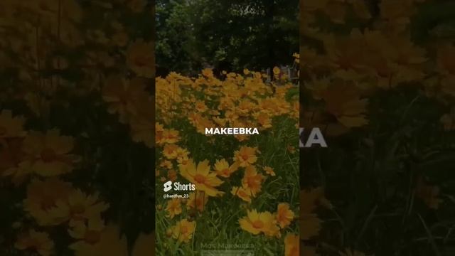 1000013532.mp4