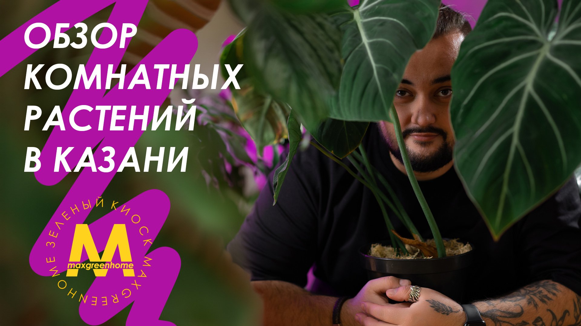 Комнатные растения в Казани! Май 2024!