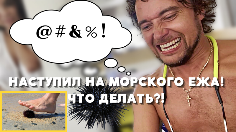 Морских ежей везде много и травмы неизбежны - Учу спасаться от игл морского ежа