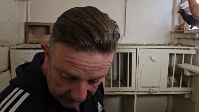 #голуби #иммиграция #сша Устройство моего питомника