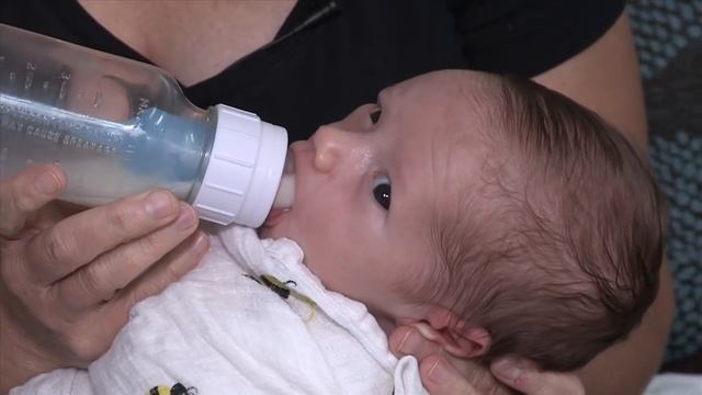 Paced Bottle Feeding