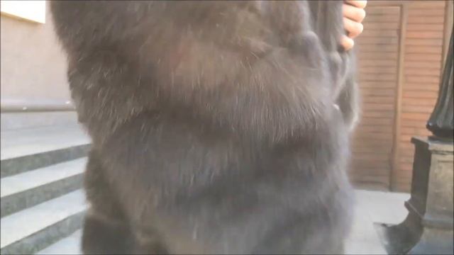 Эксклюзивный пошив шуб из меха соболя Баргузин в разных степенях седины! индпошив от ТМ Sobolini