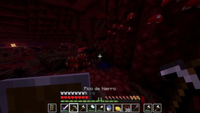 LAS FLIPANTES AVENTURAS DE ZAYINN AL NETHER ! EPISODIO 8 (MINECRAFT 1.18.1)  WORLD OF ZAYINN