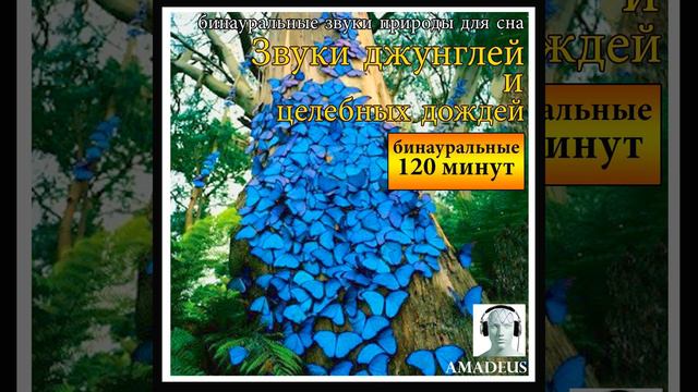 3вуки природы для сна: лес в полночь с нежным реке (Bonus...