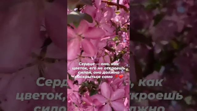 VID_20230417_221345_642.mp4