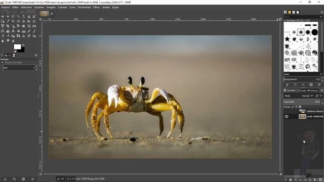 CURSO DE GIMP #01 - COMO IMPORTAR, MOVIMENTAR E REDIMENSIONAR IMAGENS