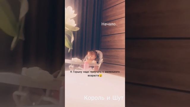 К Горшку надо приучать с маленького возраста/ Король и Шут
