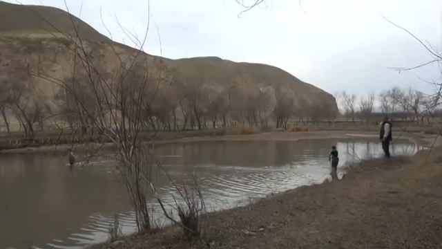 МОХИГИРИ