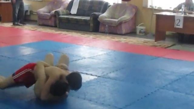 сибирские тигры