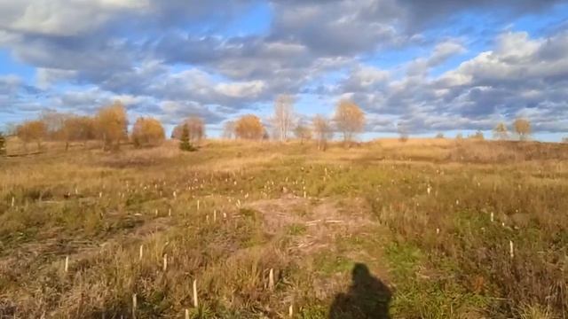 Коп № 110 Находки в обычных местах