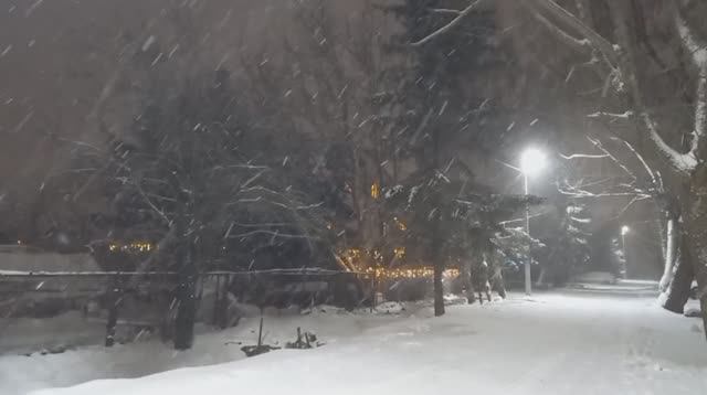 Снегопад в Калининграде.
