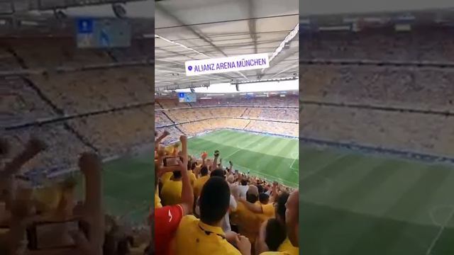 Румынские болельщики вывесили флаг ДНР и скандировали «Путин» во время матча с Украиной