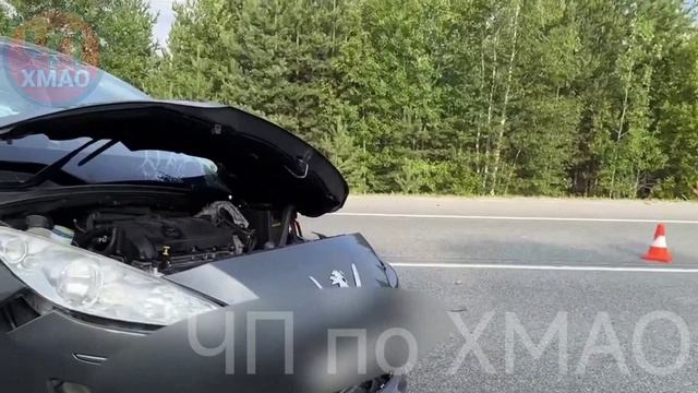 В Сургутском районе в ДТП погиб мужчина 10.08.2024 (ЧП по ХМАО)