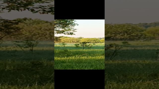 F64a65e7ad11e0f8bb9cc5e07da3e85f
