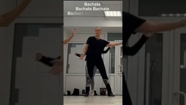 Bachata