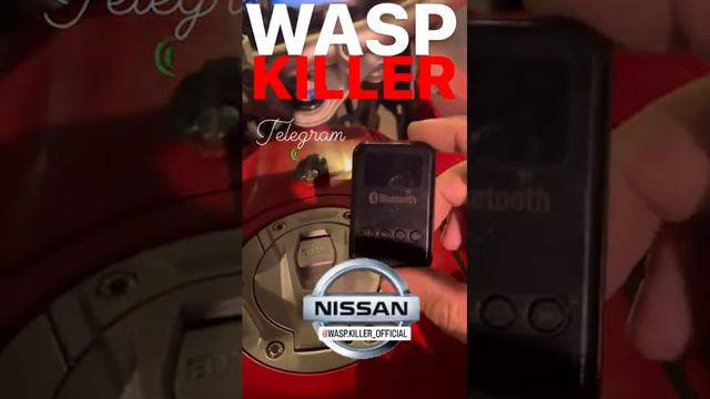 WASP KILLER.Revolutionary Device for Nissan Juke