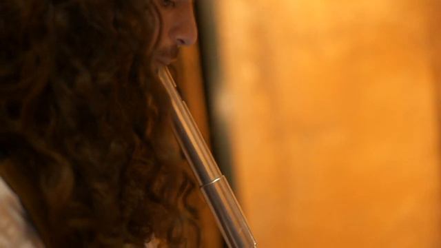 bjork unravel video