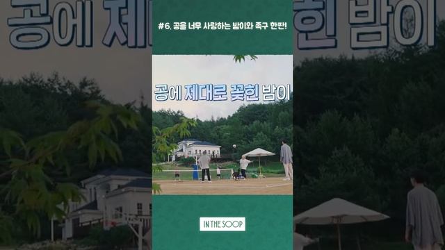 [BTS의 숲즐기기] #6. 공을 사랑하는 밤이와 족구! (A game of foot volleyball with BAM who loves chasing balls) #Short