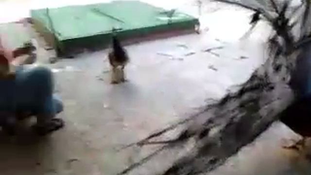 Остров свободы. Куба. И её жители, супер. Смотреть всем.