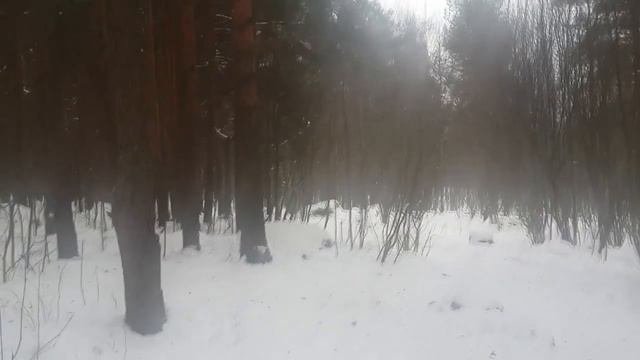 23 день Видеомарафона! Чем более я открыт тем менее я уязвим..