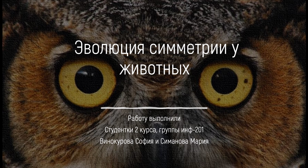 Эволюция симметрии у животных
