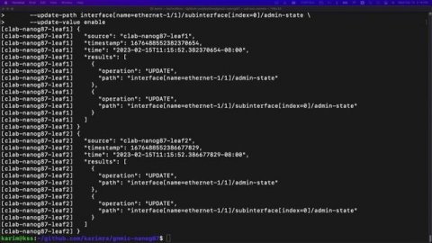 Tutorial: gNMIc - an intuitive gNMI CLI and a feature-rich telemetry collector