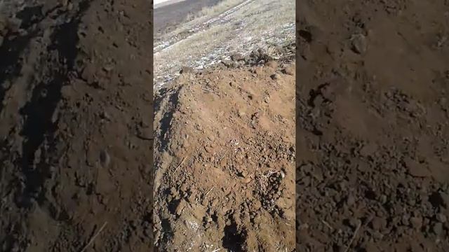 шурф дома 19 века.