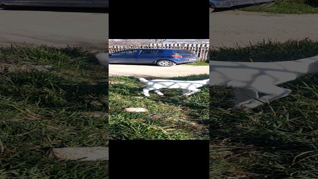 1000167826.mp4