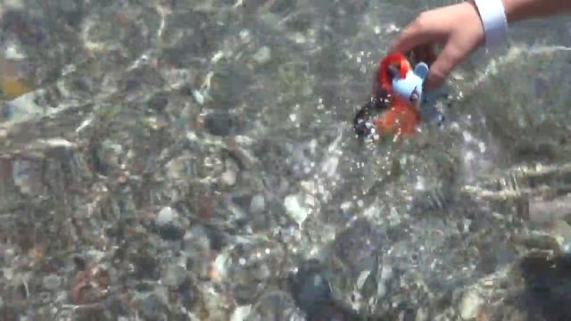 Радуга приехала на море