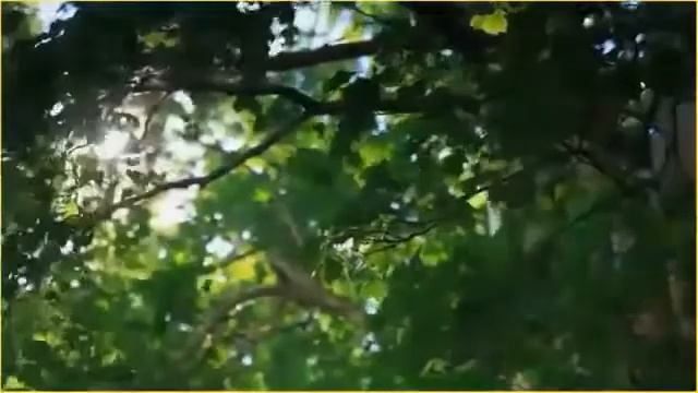 Медитация Открытие Ясновидения Повышение вибраций