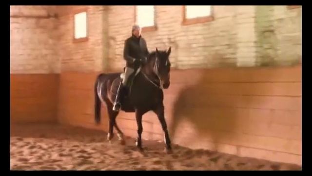 рабочие моменты тренировок.avi