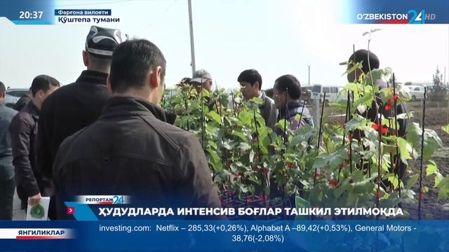 Репортаж 24  Ҳудудларда интенсив боғлар ташкил этилмоқда