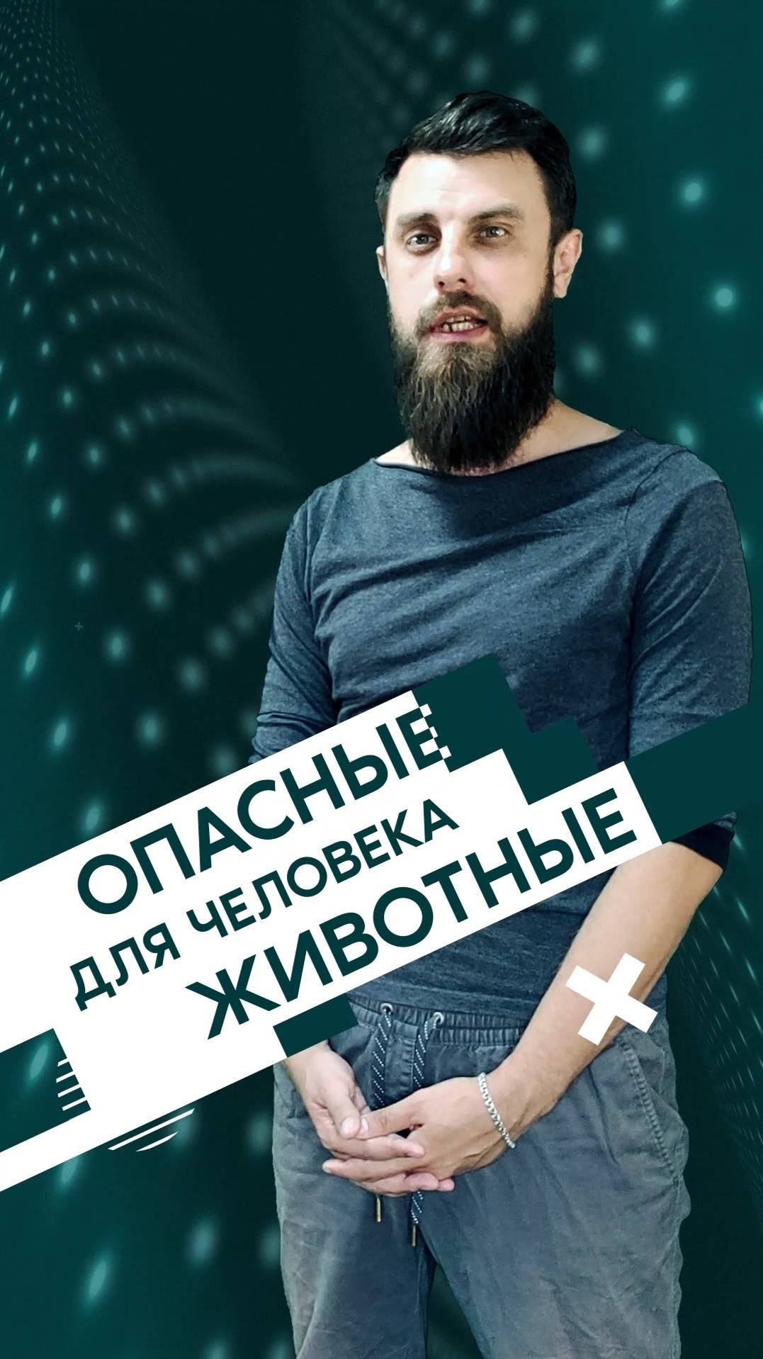 Опасные животные | даННые