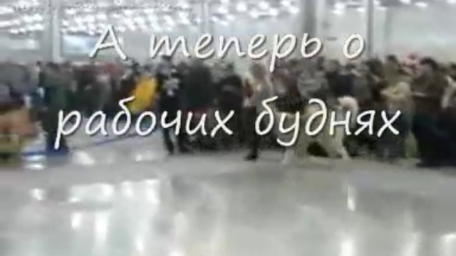 ко