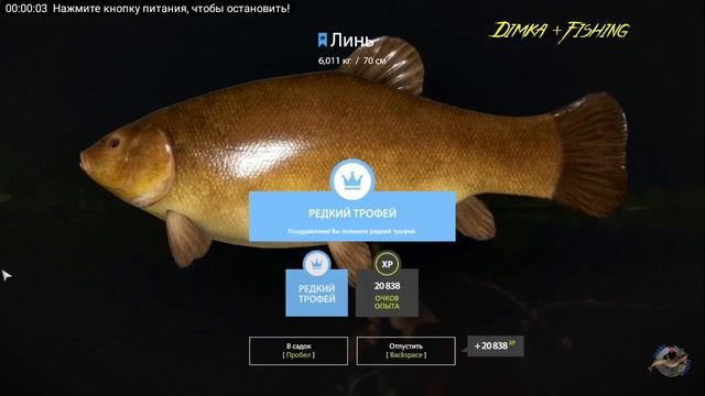 русская рыбалка 4 редкий трофей линь