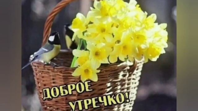 Доброго утра! С Воскресеньем!