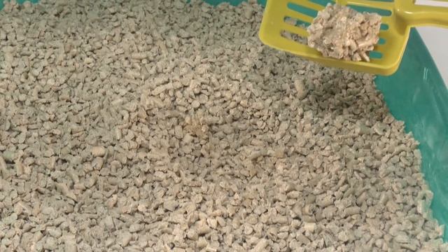 EkoCat`s Small Древесный комкующийся наполнитель