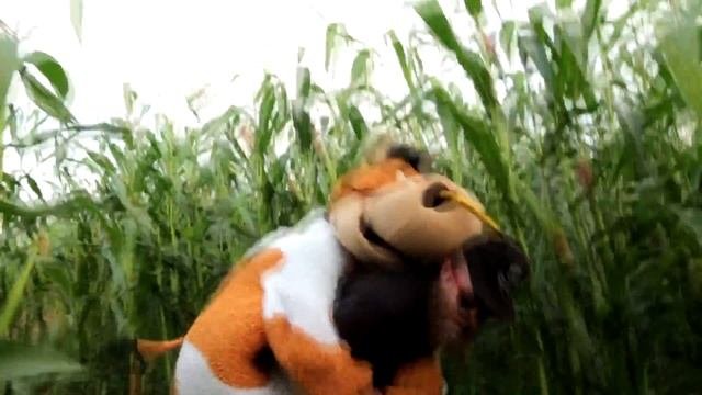 ЛАБИРИНТ С МИНОТАВРОМ