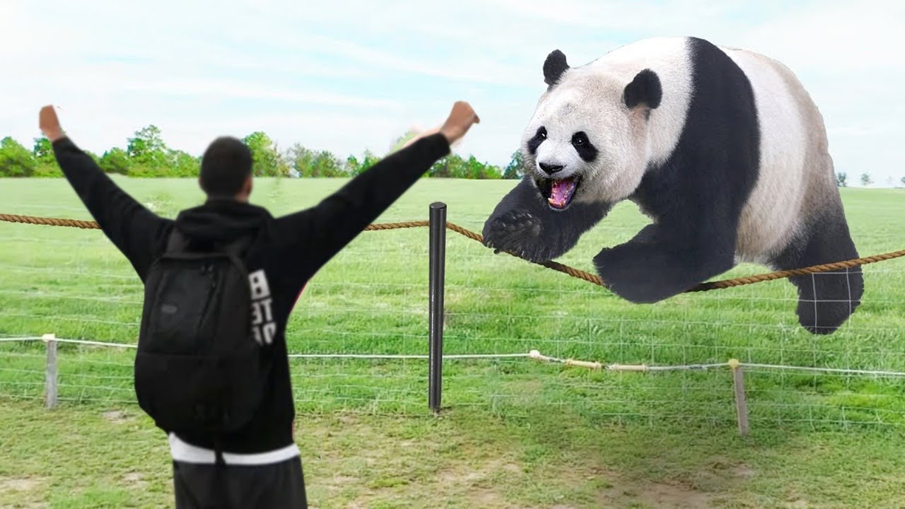 Попробуй не Заплакать! Моменты Встречи Животных с Хозяевами После Долгих Лет Разлуки