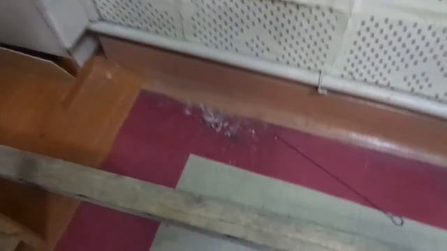 Еще несколько неучтенных патронов в саровском тире "Авангард"