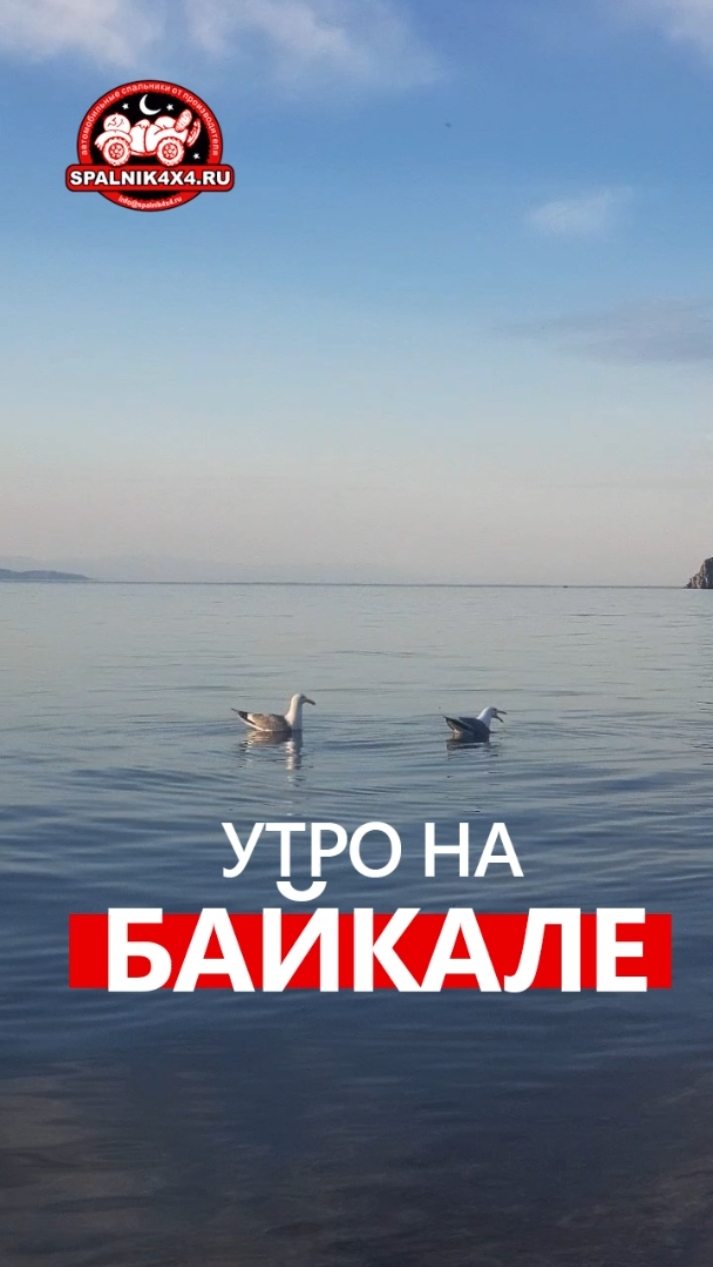 Байкальское утро с неугомонными соседями 🤦♂️ Путешествие из Владивостока на #Байкал #spalnik4x4