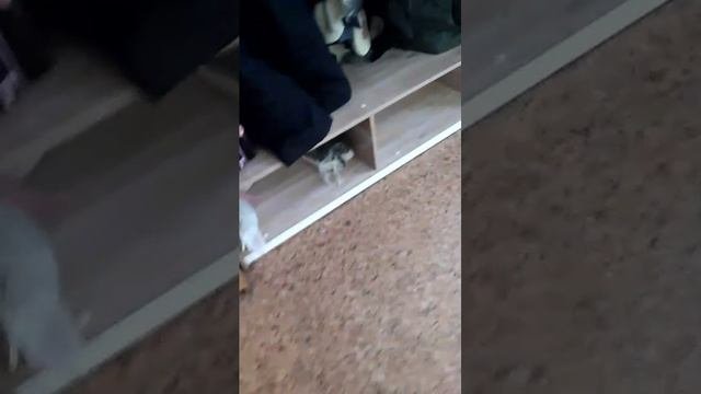 Это моя школа