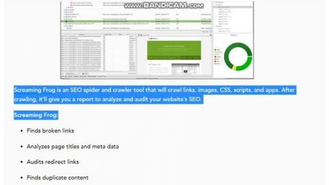 11 SEO Tools to Rank Higher on Search Engines | Make Money from websites | Review by Smart Support
