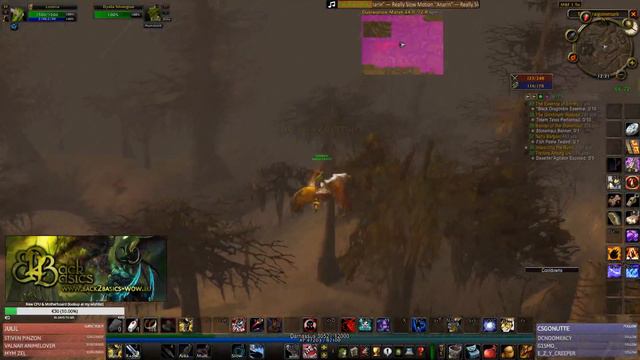 Livestream Replay #5 | Warmane TBC - [Hunter | Leveling 40-44]