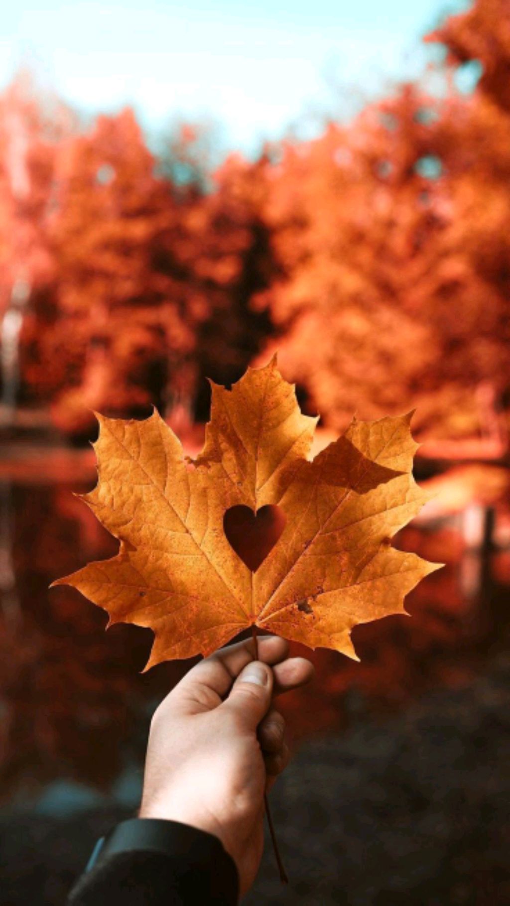 ♡