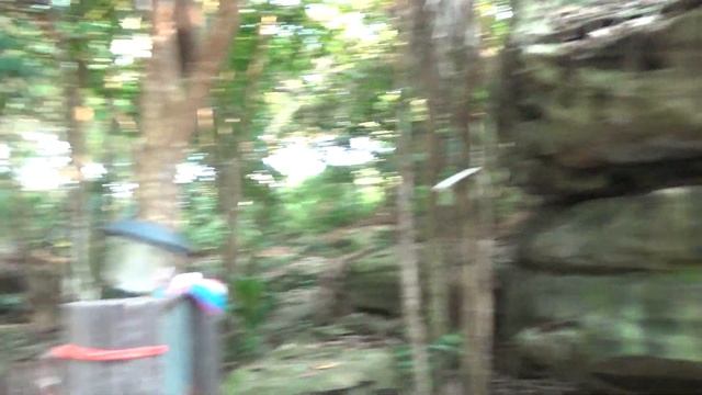 Отель AWAY KOH KOOD RESORT. И приключения в ТАЙЛАНДЕ: Заблудились в лесу. Каучуковые плантации.