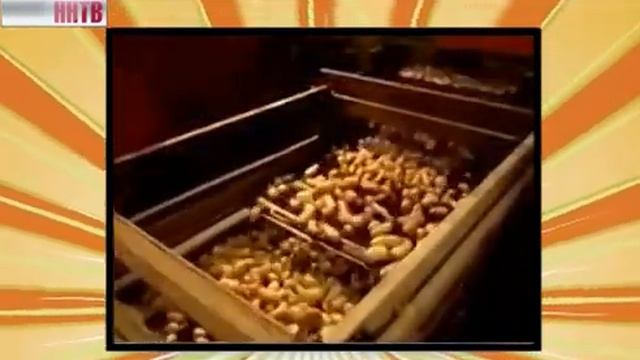 Качество проверено. Картофель фри