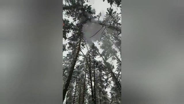 В гостях у сказки!