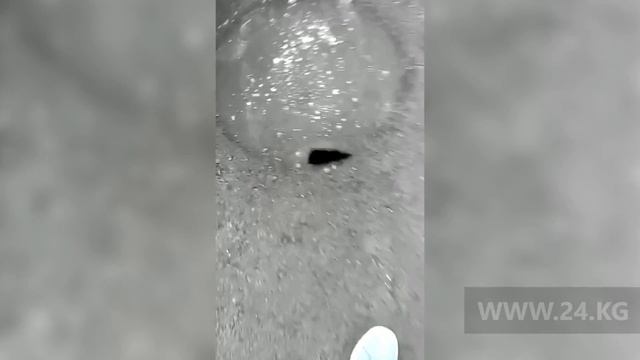 Дорожники забыли установить канализационный люк